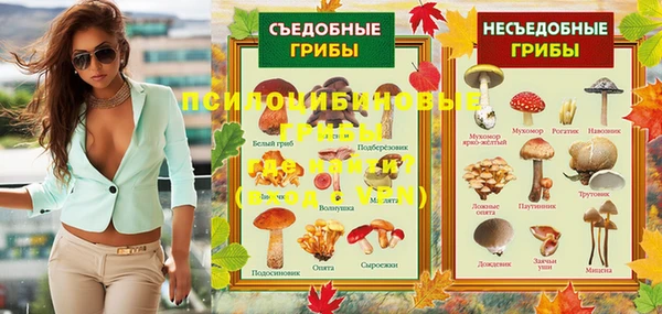 герыч Верхний Тагил